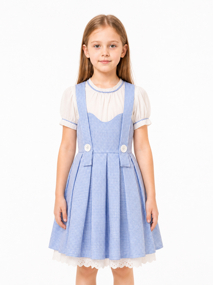 Small Blue-and-White Checkered Dress with Apron