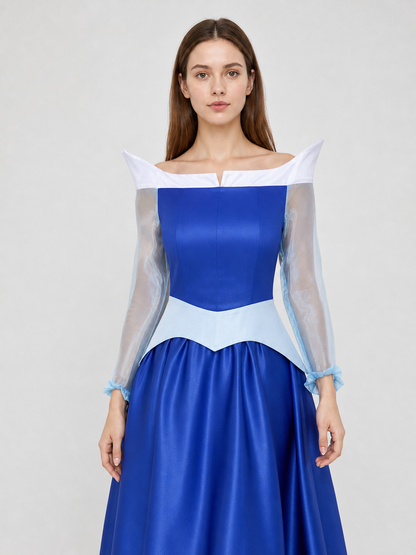 Princess Costume Dress for a Festive Look
