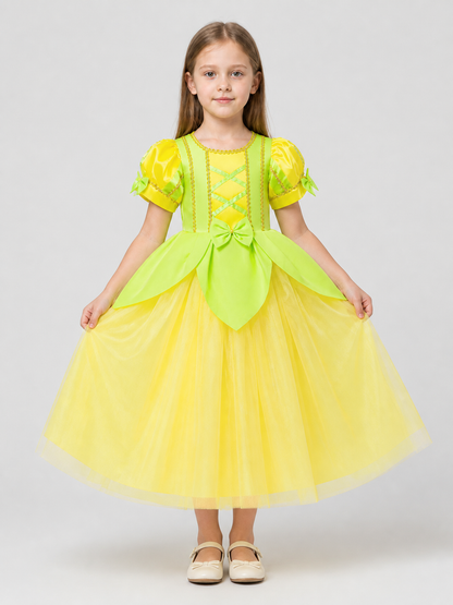 Princess Dress with a Full Skirt and Puff Sleeves
