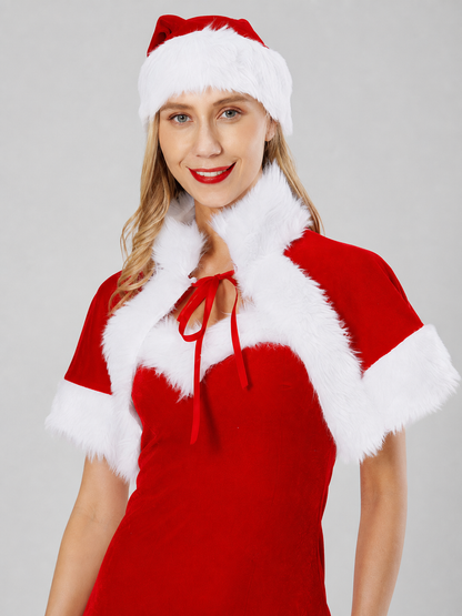 Santa Claus Costume: Red Dress with Fur Trim
