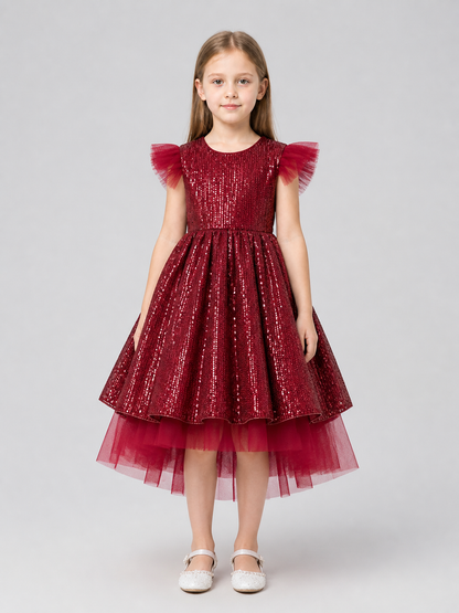 Festive Sequin and Tulle Princess Dress