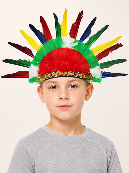 Carnival Headband with Multicolored Feathers