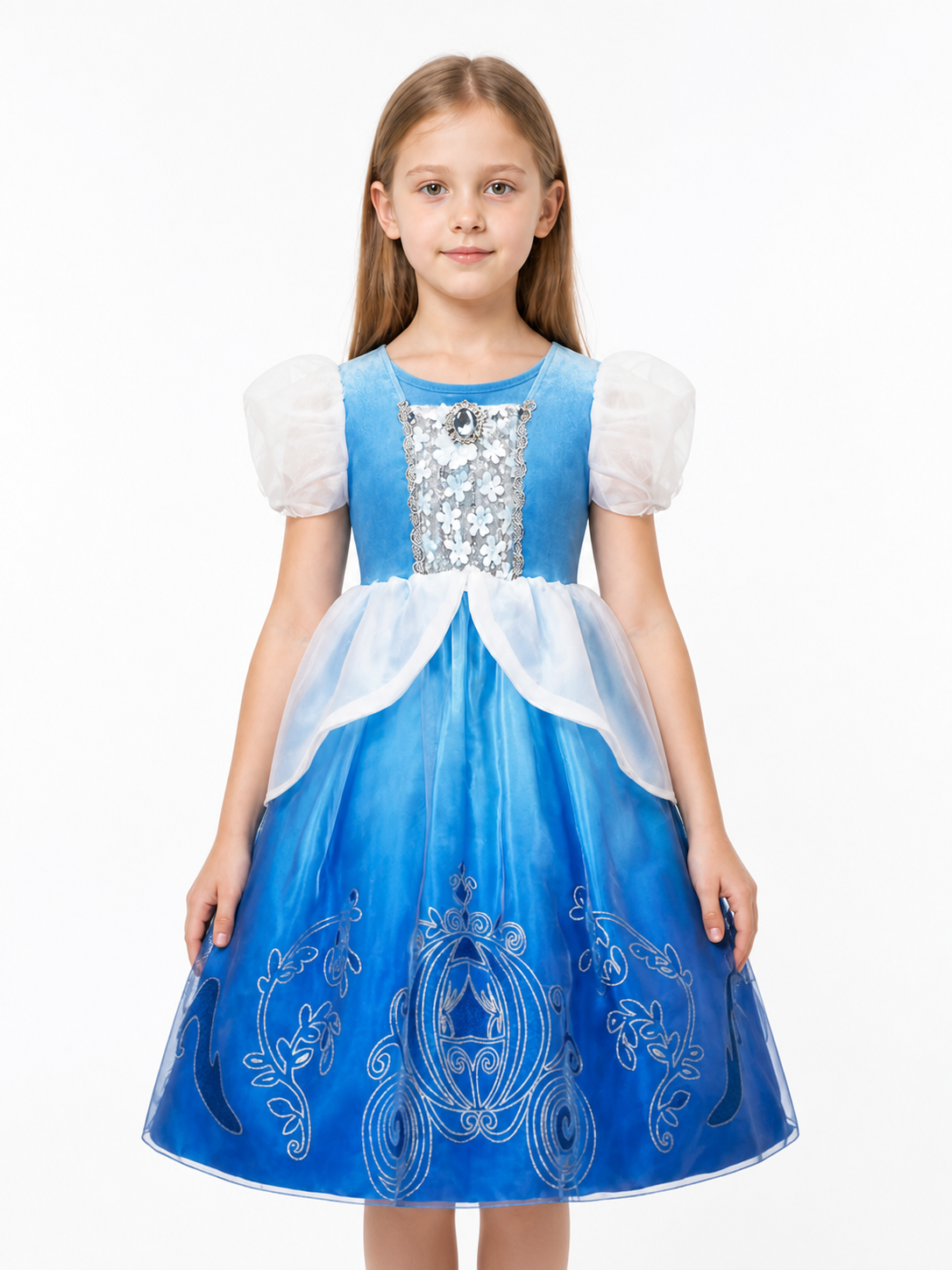 Carnival Dress with Carriage and Flower Embroidery Costume Dresses detail 3
