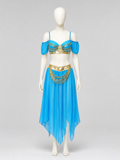 Aladdin and Jasmine Stage Costume, Blue with Gold, M-XL Costumes detail 2