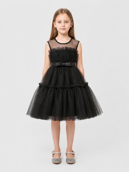 Black Princess Dress for Girls with a Full Skirt Costume Dresses detail 3