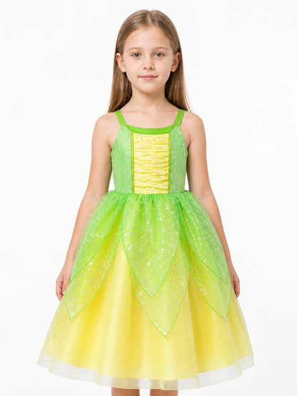 Puffy Princess Dress for Girls with Stars Costume Dresses detail 3
