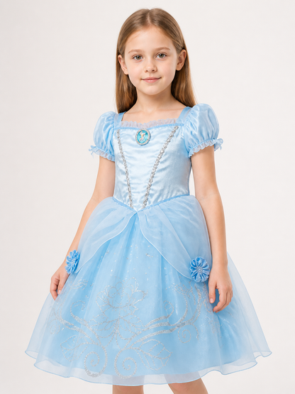 Princess Costume for Halloween and Cosplay