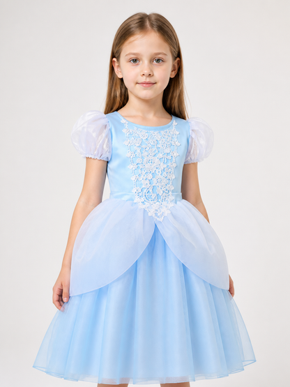 Blue Princess Costume for Halloween Costumes detail 2