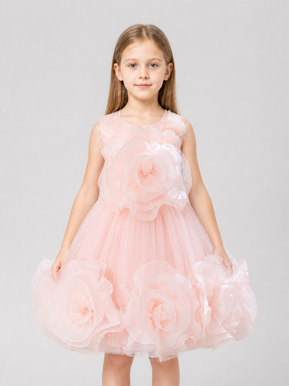 Tutu Dress with 3D Roses for Christening Costume Dresses detail 3