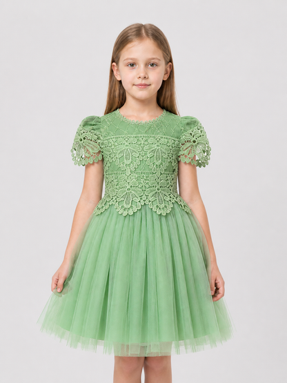 Dressy Girls' Dress with Lace and Full Tulle Skirt Costume Dresses detail 3