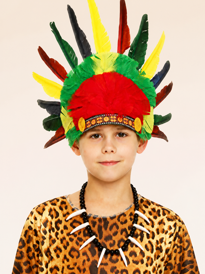 Indian-style carnival headdress with multicolored feathers Costumes detail 2