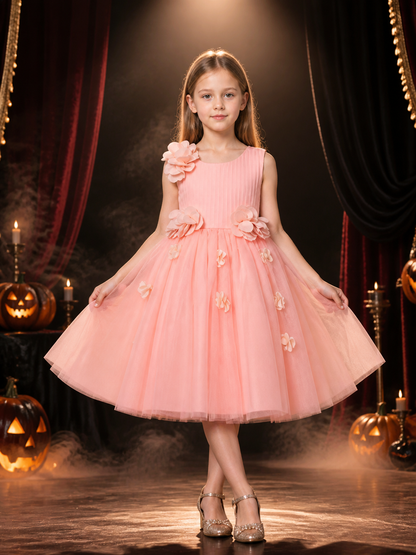 Baby Girls' Pink Princess Tulle Dress With 3D Flower Decorations Costume Dresses detail 3