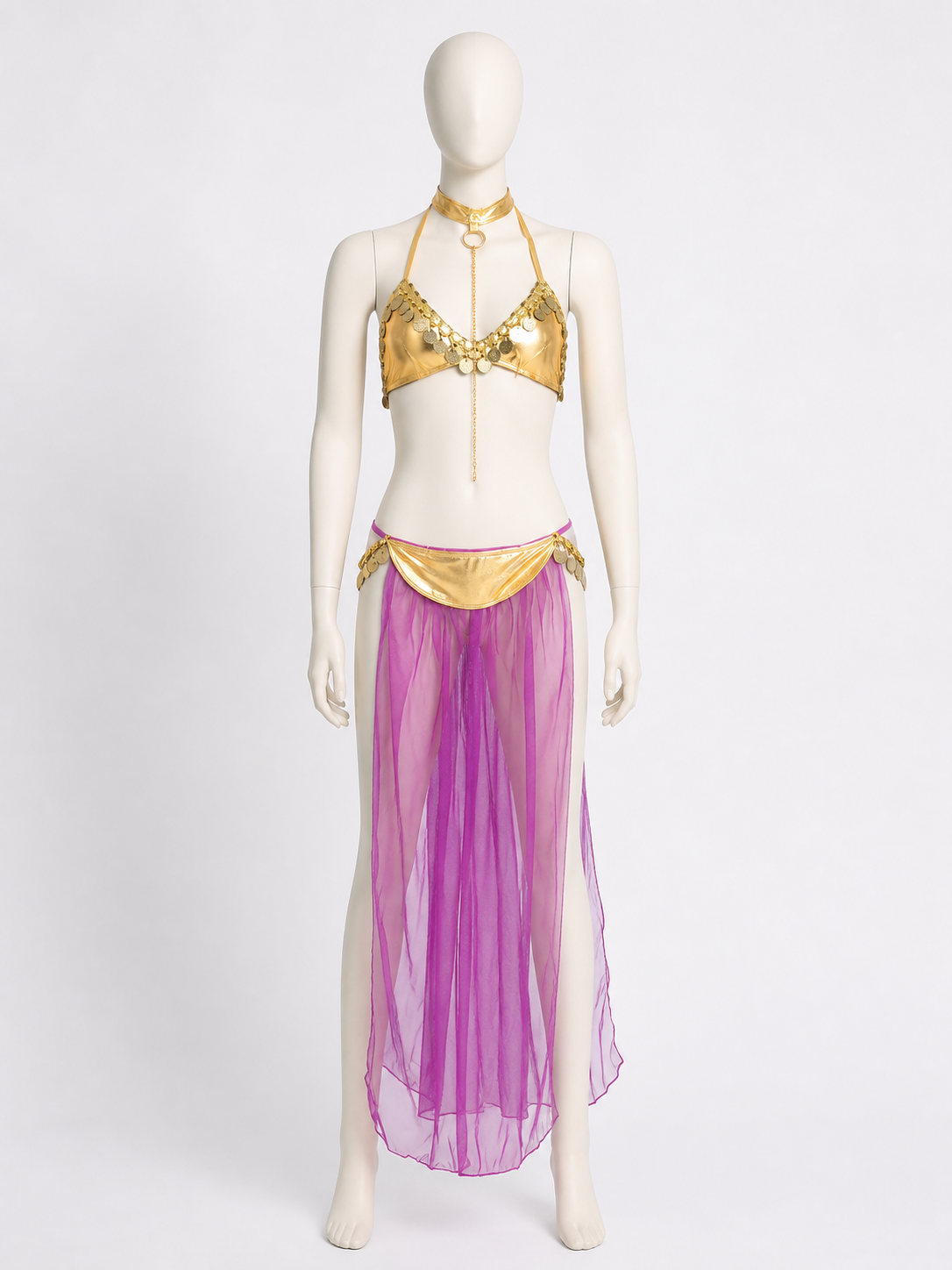 Adult Egyptian Queen Two-Piece Costume, Purple Sheer Skirt and Gold-Decorated Costumes detail 3