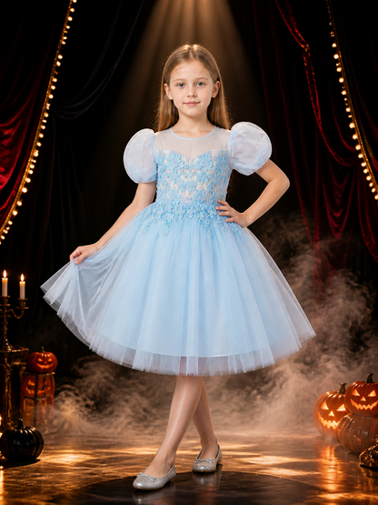 Baby Girls' Princess Party Dress, Sky Blue Tulle Gown With Puff Sleeves And Costume Dresses detail 3