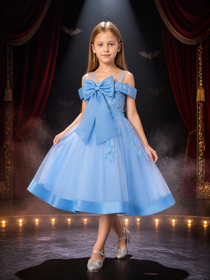 Baby Girls' Sky Blue Princess Dress with Beaded Floral Embroidery and Tulle Costume Dresses detail 3