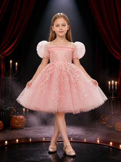 Toddler Girls' Sequined Embroidered Tulle Princess Dress Costume Dresses detail 3