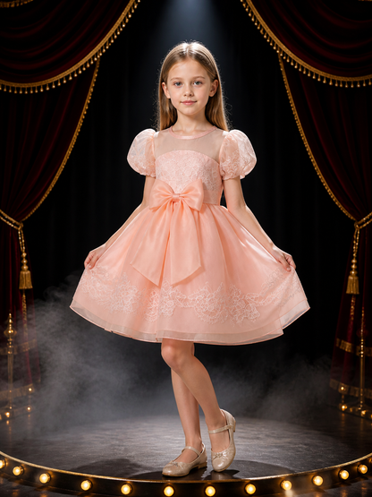 Girls' Pink Princess Dress with Lace Trim, Large Bow, and Puff Sleeves Costume Dresses detail 3