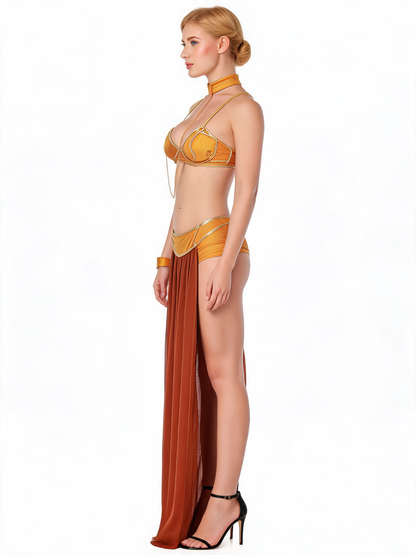 Gold Carnival Belly Dancer Costume with Accessories